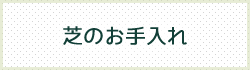 芝のお手入れ